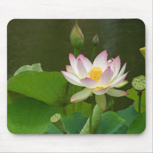 Alfombrilla De Ratón Flor de Lotus