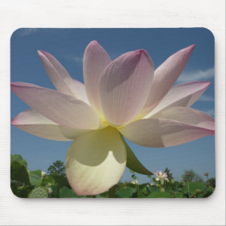 Alfombrilla De Ratón Flor de Lotus y cielo azul II