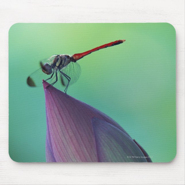 Alfombrilla De Ratón Flor de Lotus y libélula (Frente)