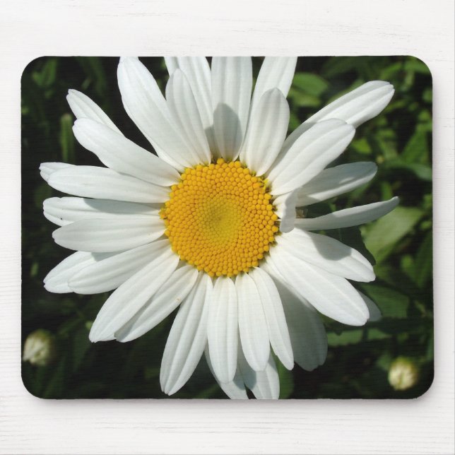 Alfombrilla De Ratón flor de margarita blanca (Frente)