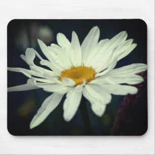 Alfombrilla De Ratón Flor de margarita blanca