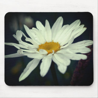 Alfombrilla De Ratón Flor de margarita blanca