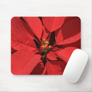 Alfombrilla De Ratón Flor de Navidades de Poinsettia