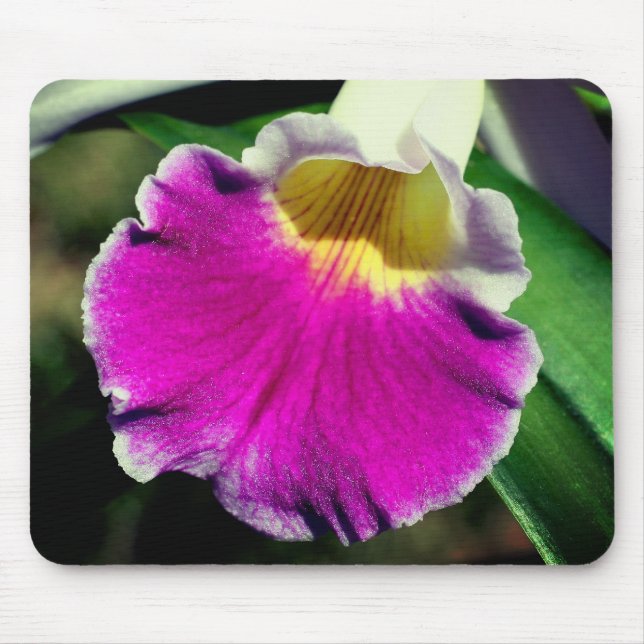 Alfombrilla De Ratón Flor de orquídea púrpura (Frente)