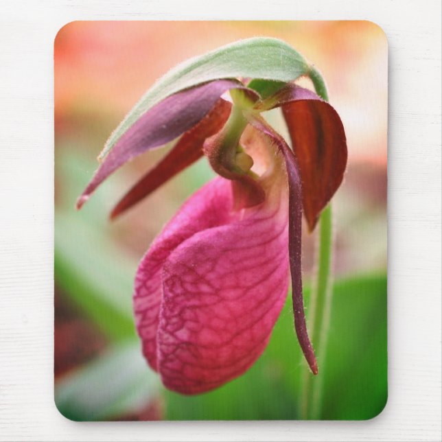Alfombrilla De Ratón Flor de orquídea resbaladiza vibrante Lady rosa (Frente)