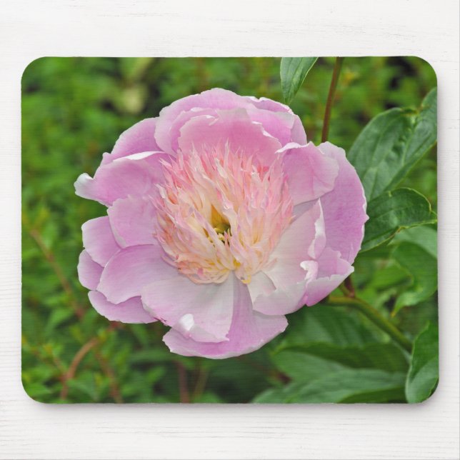 Alfombrilla De Ratón Flor de peón rosa (Frente)