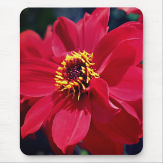 Alfombrilla De Ratón Flor de peones rojos