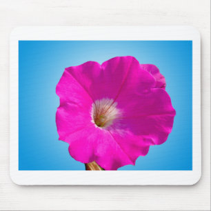 Alfombrilla De Ratón flor de petunia rosa sobre fondo azul.
