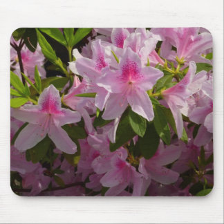Alfombrilla De Ratón Flor de primavera rosada de Azalea Bush