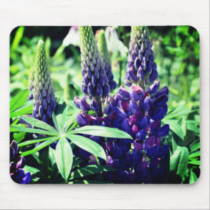 Alfombrilla De Ratón Flor de trío de Lupine