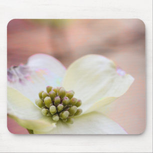Alfombrilla De Ratón Flor del Dogwood