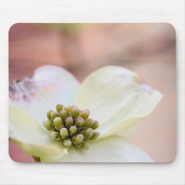 Alfombrilla De Ratón Flor del Dogwood (Frente)