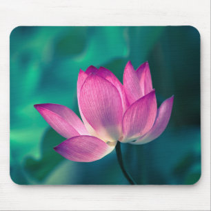 Alfombrilla De Ratón Flor del lirio de agua de Lotus