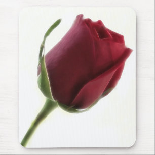Alfombrilla De Ratón Flor del rosa rojo en blanco
