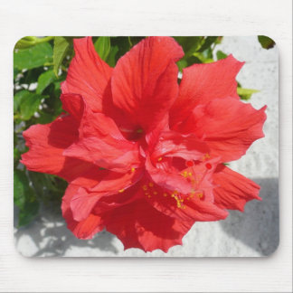 Alfombrilla De Ratón Flor doble roja hibiscus