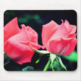 Alfombrilla De Ratón Flor Duo Peach Rosa