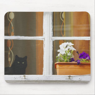 Alfombrilla De Ratón Flor en la ventana, Sighisoara, Rumania