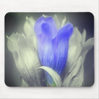 Alfombrilla De Ratón Flor Gentiana Azul Negro Y Blanco