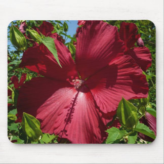 Alfombrilla De Ratón Flor hibiscus y cielo azul