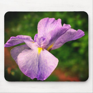 Alfombrilla De Ratón Flor japonesa Iris en desarrollo
