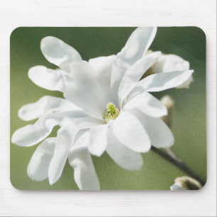 Alfombrilla De Ratón Flor magnolia blanca