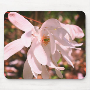Alfombrilla De Ratón Flor magnolia blanca