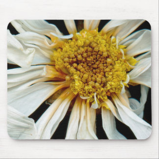 Alfombrilla De Ratón Flor - Margarita - Sol borracho