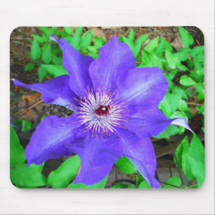 Alfombrilla De Ratón Flor morada de clematis