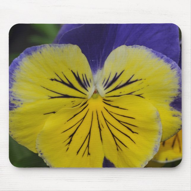 Alfombrilla De Ratón Flor morada y amarilla (Frente)