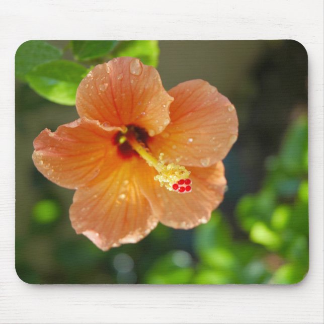 Alfombrilla De Ratón Flor Mousepad de Hibiscis (Frente)