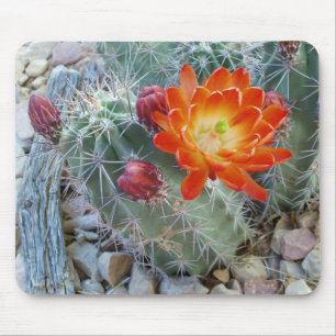Alfombrilla De Ratón Flor Mousepad del cactus de la taza de clarete