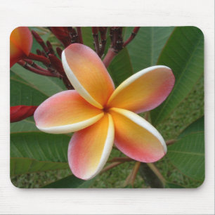 Alfombrilla De Ratón Flor Oahu Hawaii del Plumeria