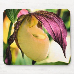 Alfombrilla De Ratón Flor Orquídea de la Mujer Blanca