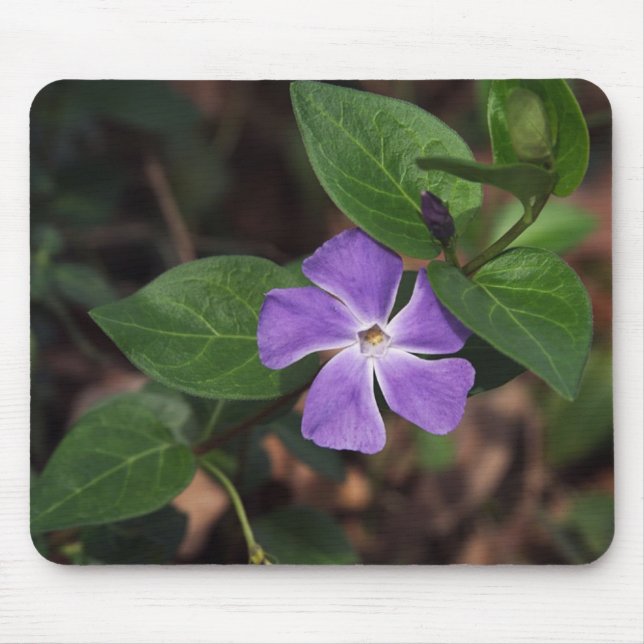 Alfombrilla De Ratón Flor púrpura (Frente)