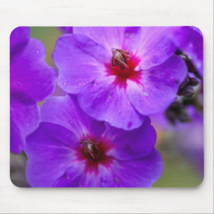 Alfombrilla De Ratón Flor púrpura