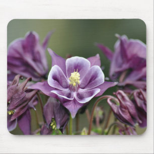 Alfombrilla De Ratón Flor púrpura en columba