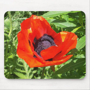 Alfombrilla De Ratón Flor Roja Brillante En Verde