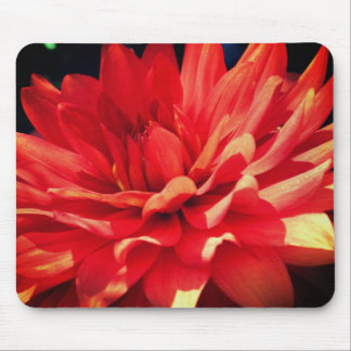 Alfombrilla De Ratón Flor roja de Dahlia 