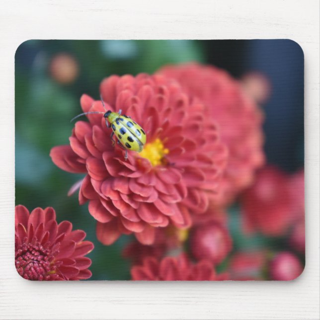 Alfombrilla De Ratón Flor Roja Naturaleza Fotografiar escarabajo Bug de (Frente)