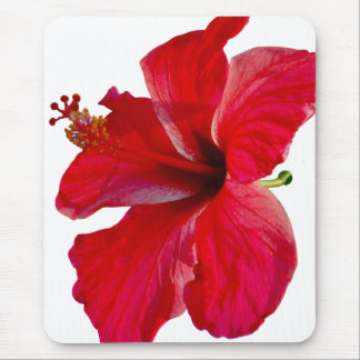 Alfombrilla De Ratón Flor roja tropical del hibisco