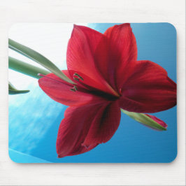 Alfombrilla De Ratón Flor roja Vivid Amaryllis
