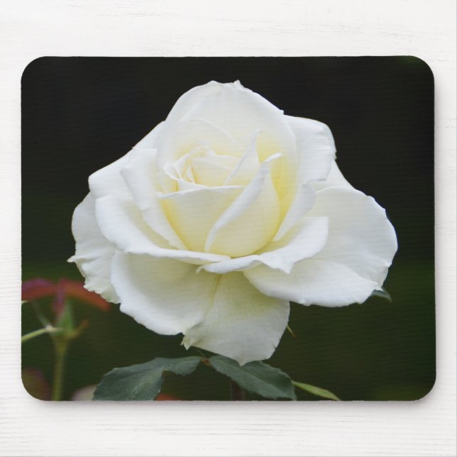 Alfombrilla De Ratón Flor rosa blanca (Frente)