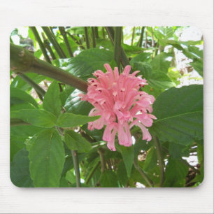 Alfombrilla De Ratón Flor rosa brasileña de plumas