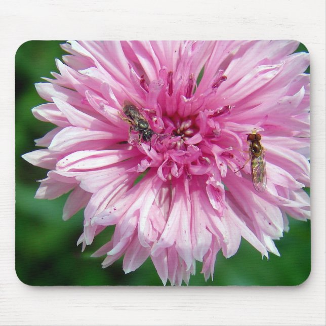 Alfombrilla De Ratón Flor rosa e insectos (Frente)