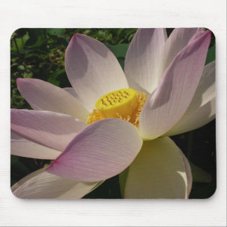 Alfombrilla De Ratón Flor rosa Lotus III flor de verano