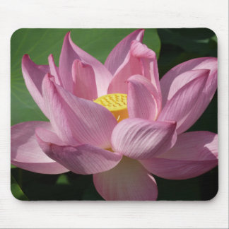 Alfombrilla De Ratón Flor rosa Lotus IV