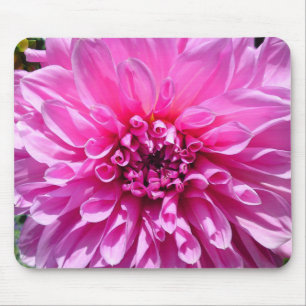 Alfombrilla De Ratón Flor rosa morada de Dahlia