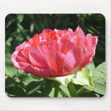 Flor rosa peony