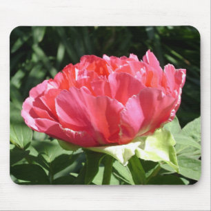 Alfombrilla De Ratón Flor rosa peony