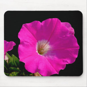 Alfombrilla De Ratón Flor rosa Petunia